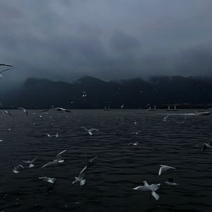 紫悦被弄到高潮喷水
