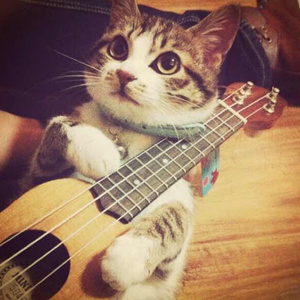 紫悦被弄到高潮喷水
